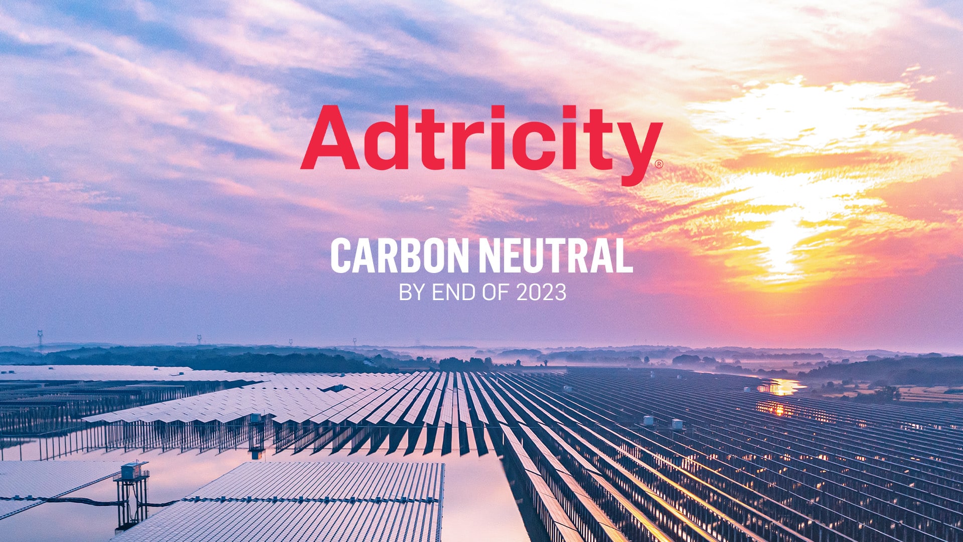image of a solar panel energy farm