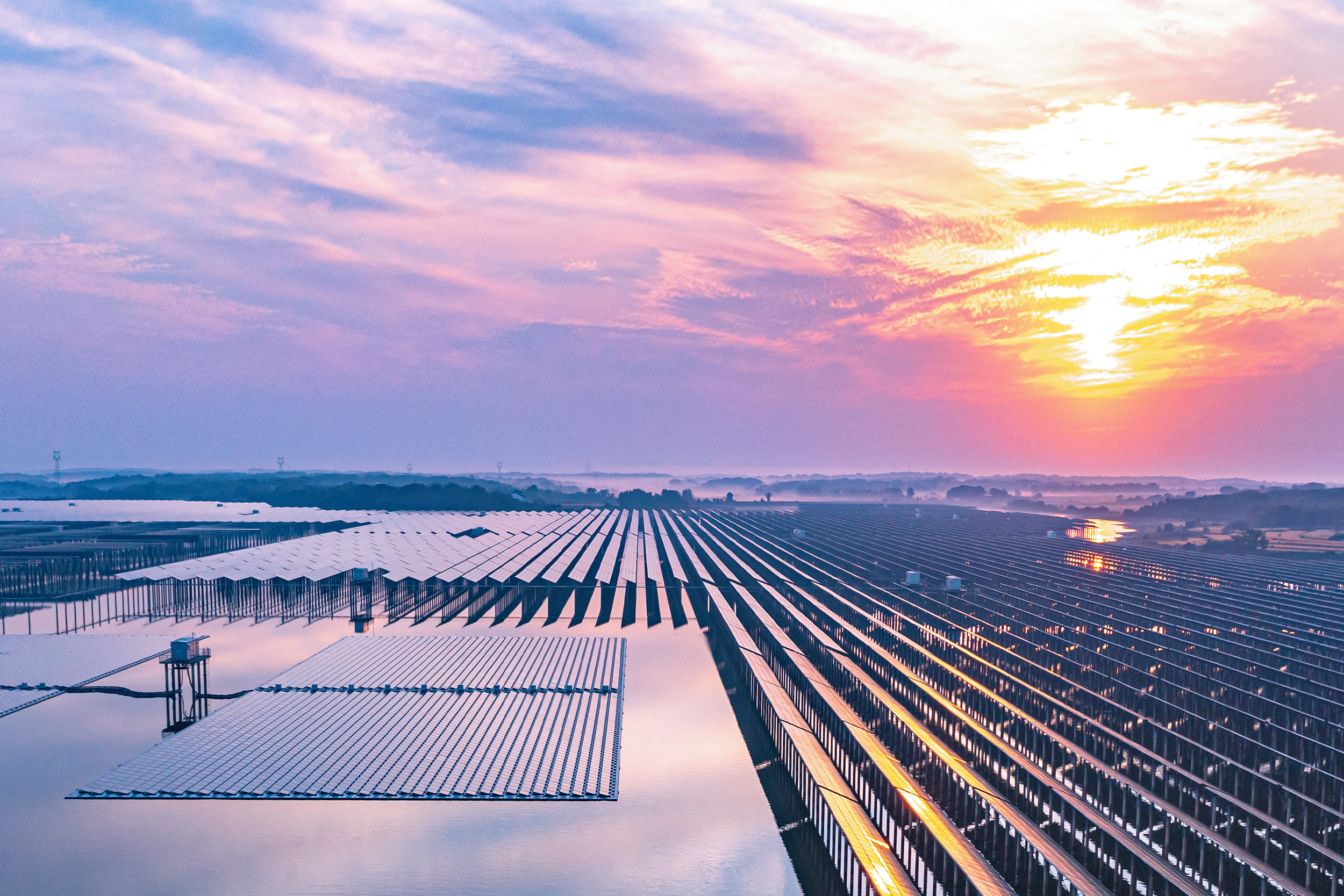 Image of solar energy panels on a solar farm
