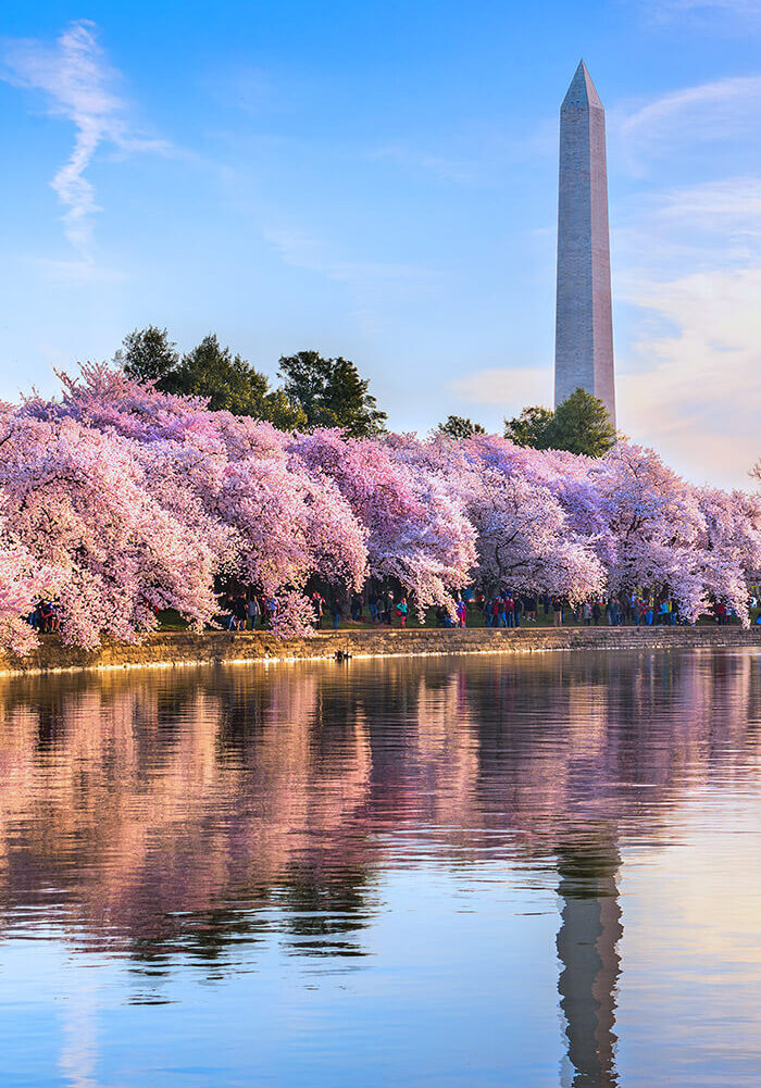 Image of the Washington Monument